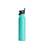 Swig 20 oz Bottle - 2