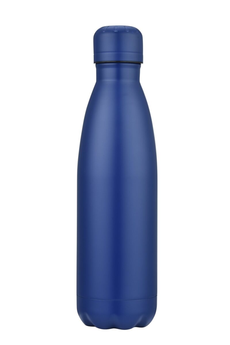 17 oz. Steel Swig Stainless Steel Bottle