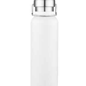 20 oz. Swig stainless steel bottle — 20oz/591ml