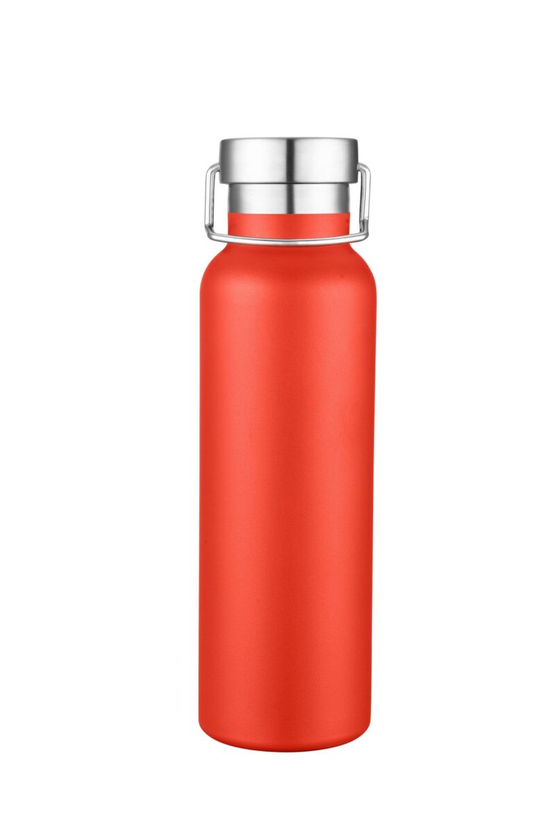 20 oz. Swig stainless steel bottle — 20oz/591ml - 4