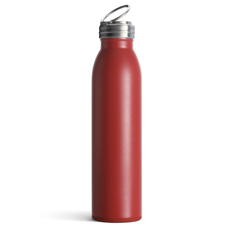 20 Oz. Swig Life™ Stainless Steel Bottle - 2